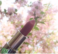 纪梵希小羊皮105豆沙色试色 纪梵希小羊皮105试色图